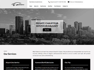 Black Sedan Limousine Services