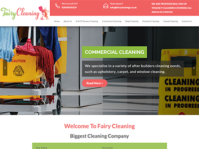 Support Services Group